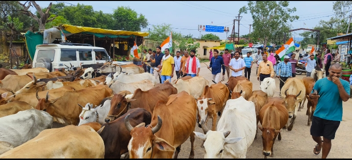 पंडरिया ब्लॉक कांग्रेस कमेटी ने गौ सत्याग्रह को लेकर किया एसडीएम ऑफीस का घेराव 2 Screenshot 2024 08 16 16 37 56 39