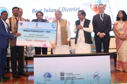 1732205300 5460156d210a457a35d8 1