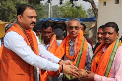 1732536120 73e1e00608bac7839db2