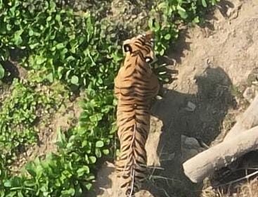 1732633147 54ed2e5d2e1914bdad9f