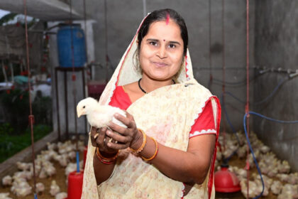 1732870032 6908dc77fdfebe39d7ac