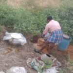 IMG 20241128 WA0008