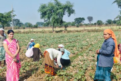 1733051986 47ce3ef34542ca81e50a