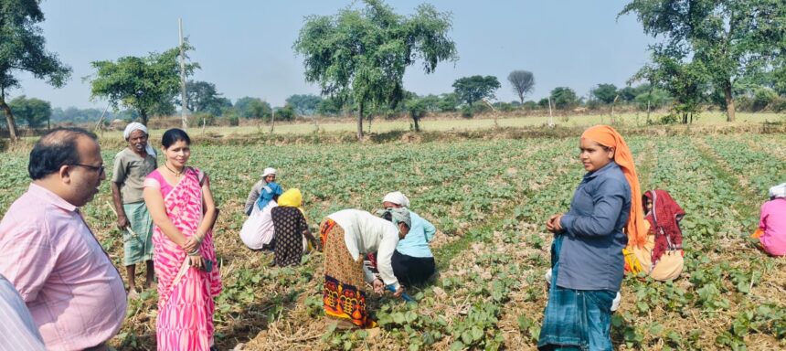 1733051986 47ce3ef34542ca81e50a