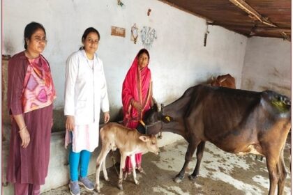 1733397259 2cb176cf41bc493284b4