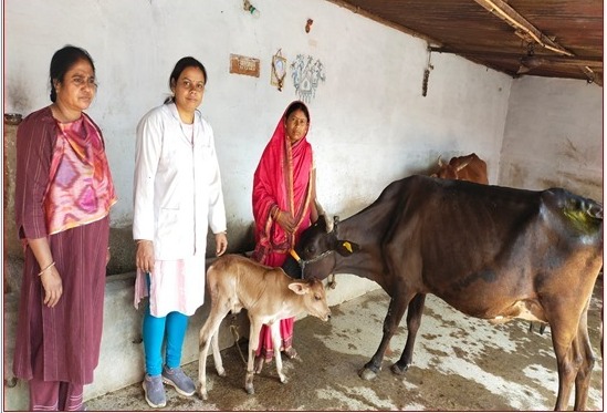 दुर्ग: डेयरी उद्यमिता की दिशा में महिला स्व सहायता समूह हो रही है स्वावलम्बी. 1 1733397259 2cb176cf41bc493284b4
