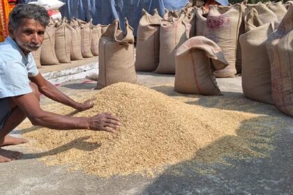 1733490676 41a8b5ee4762dddb6280