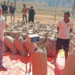 1733494921 11796d16bb669ee1f300