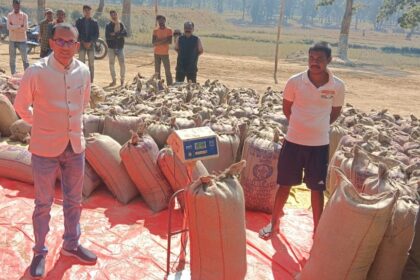 1733494921 11796d16bb669ee1f300