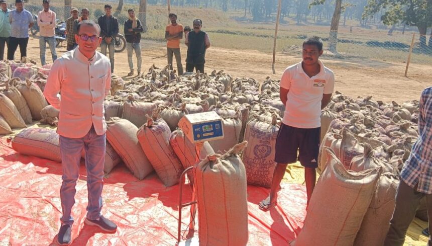 1733494921 11796d16bb669ee1f300