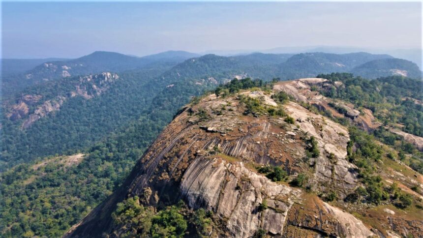 1735909255 795641e9816b6b86e71d