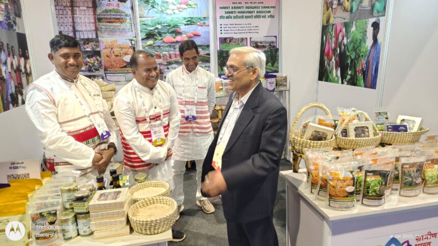 1735992067 8bb0aa21e9fbe870b313