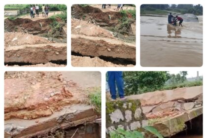 collage 5 1 1752290112649