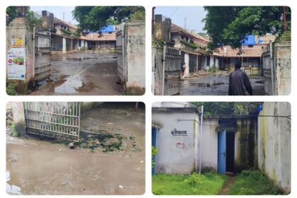 collage 6 0 1752036022889