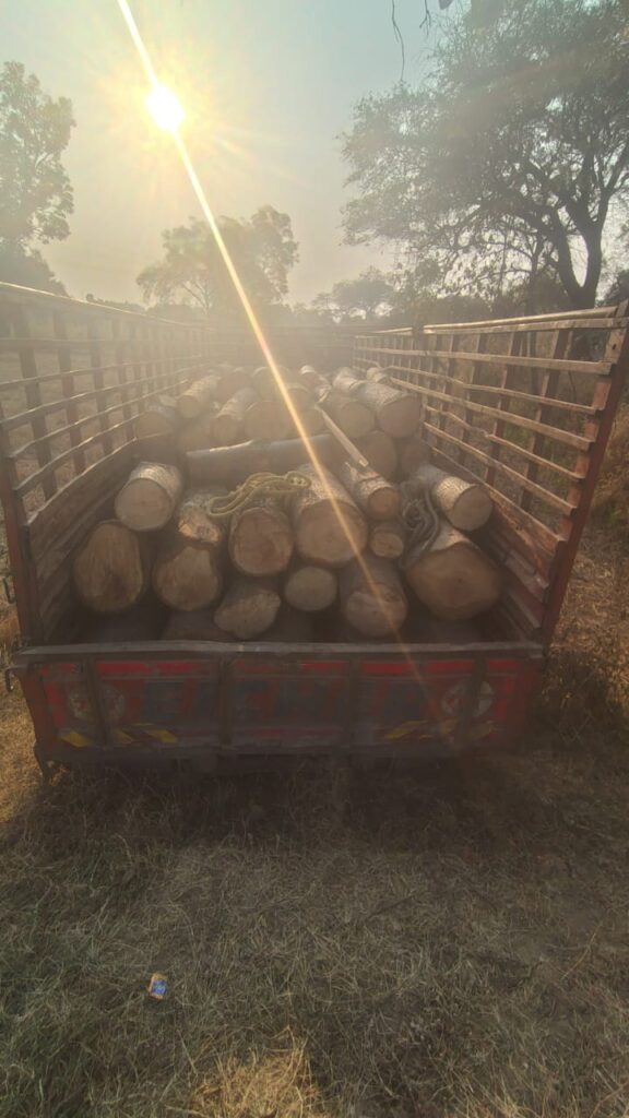 राजस्व ज़मीन से लकड़ी की खुली लूट! तमनार तस्करी कांड में तहसील–पटवारी की भूमिका पर उठे गंभीर सवाल 2 1001855193