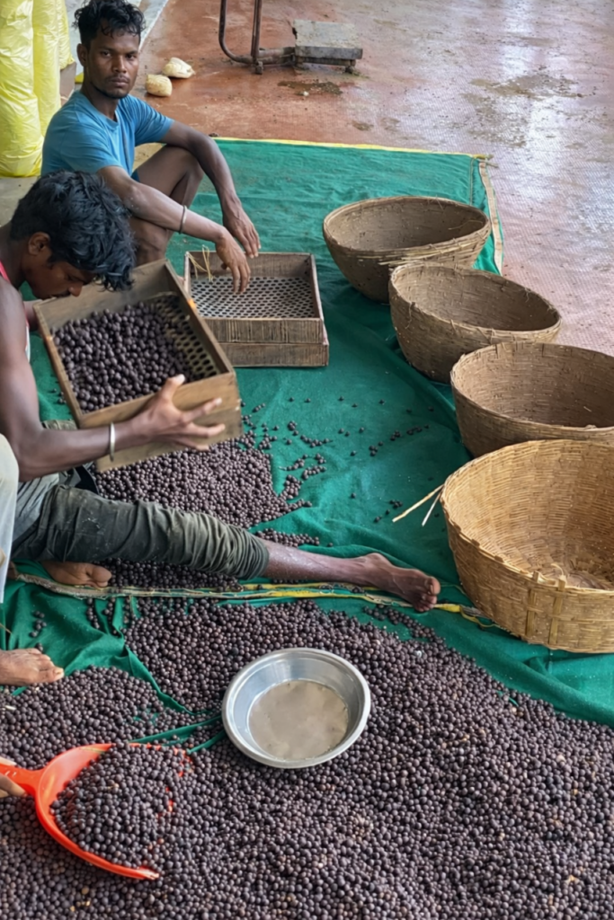 1769767739 eb24b63ed4b8c966d78a