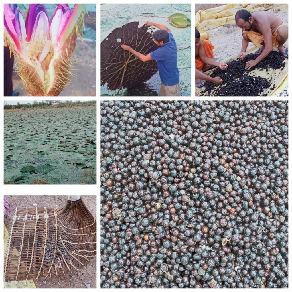 1769767748 210dfe809413ace310c5